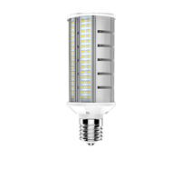 Ampoules retrofit led wallpack